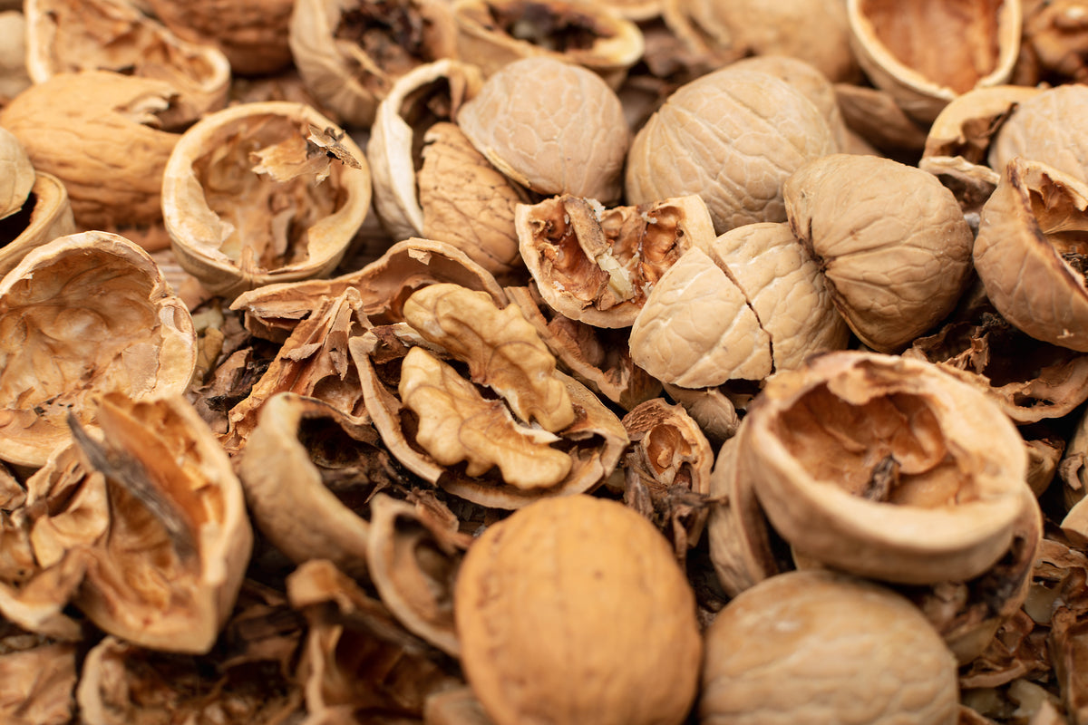 Crushed walnut shell showing coarse grain texture, the raw material that is finely milled for body scrubs